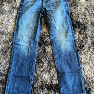 American Eagle Outfitters Men's Straight Blue Jeans